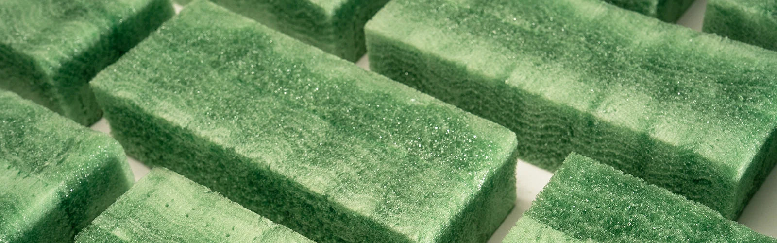 Plastic-Free Spotlight: Phoam Labs and the Biodegradable Alternative to Floral Foam