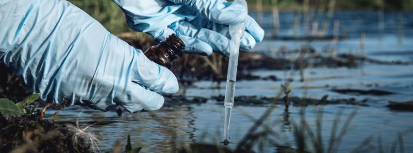 Hands dropping water into a test tube from a swamp.