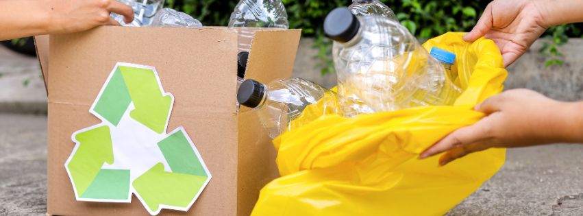 How to Reduce Plastic Waste in the Office: A Sustainable Hydration Guide