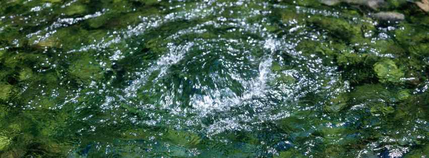 Spring Water vs. Purified Water vs. Distilled: What Businesses Need to Know