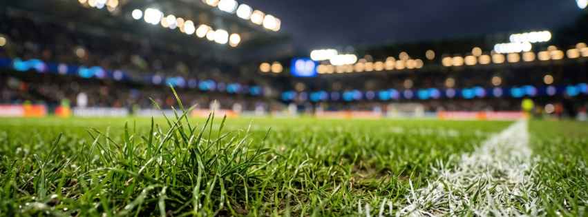 Grass Field at the World Cup