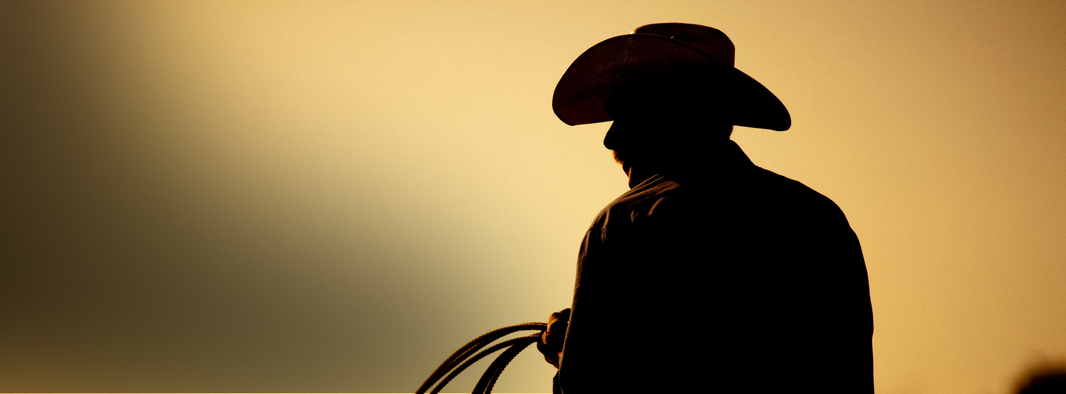Cowboy silhouette.